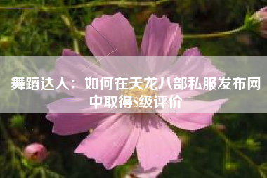 舞蹈达人：如何在天龙八部私服发布网中取得S级评价