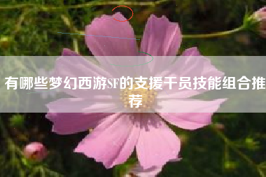 有哪些梦幻西游SF的支援干员技能组合推荐