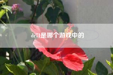 dr71是哪个游戏中的