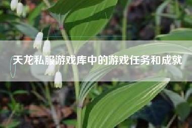 天龙私服游戏库中的游戏任务和成就