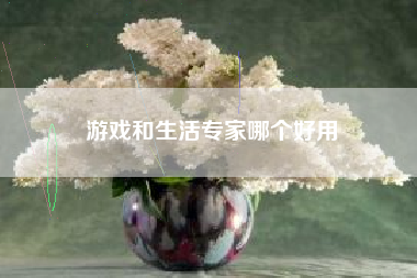 游戏和生活专家哪个好用