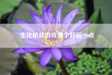 生化枪战游戏哪个好玩一点