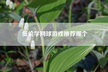 低价学网球游戏推荐哪个