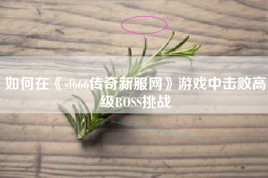 如何在《sf666传奇新服网》游戏中击败高级BOSS挑战