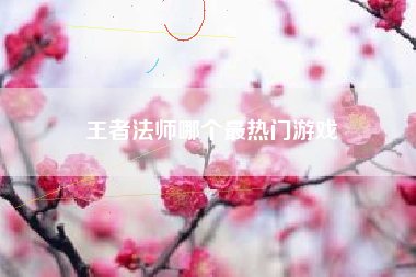 王者法师哪个最热门游戏