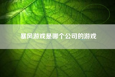 暴风游戏是哪个公司的游戏