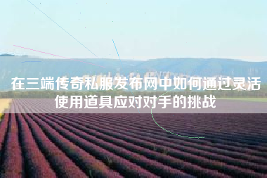 在三端传奇私服发布网中如何通过灵活使用道具应对对手的挑战