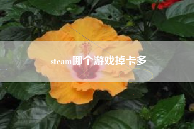 steam哪个游戏掉卡多