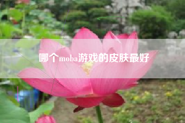 哪个moba游戏的皮肤最好