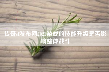 传奇sf发布网2023游戏的技能升级是否影响整体战斗