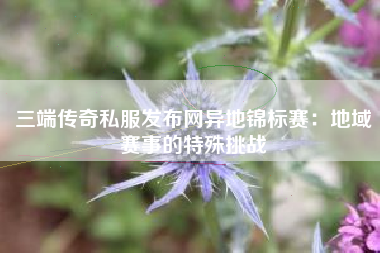 三端传奇私服发布网异地锦标赛：地域赛事的特殊挑战