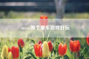 steam哪个赛车游戏好玩