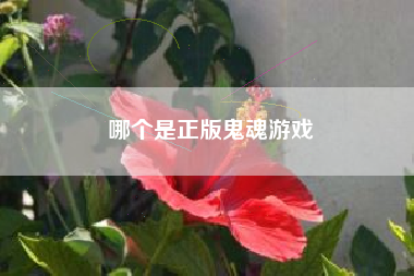 哪个是正版鬼魂游戏