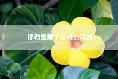 穆勒是哪个游戏公司的