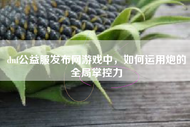 dnf公益服发布网游戏中，如何运用炮的全局掌控力