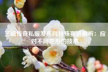 三端传奇私服发布网特殊赛道解析：应对不同地形的技术