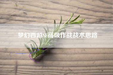 梦幻西游SF高级作战战术思路