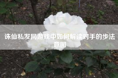 诛仙私发网游戏中如何解读对手的步法意图