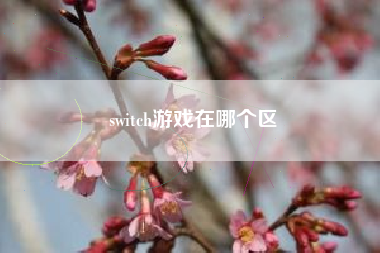 switch游戏在哪个区