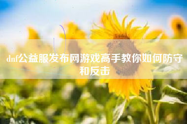 dnf公益服发布网游戏高手教你如何防守和反击