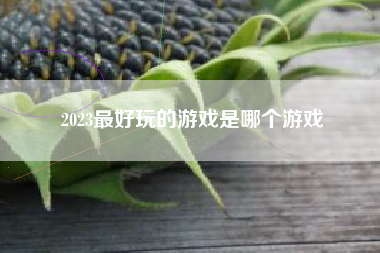 2023最好玩的游戏是哪个游戏