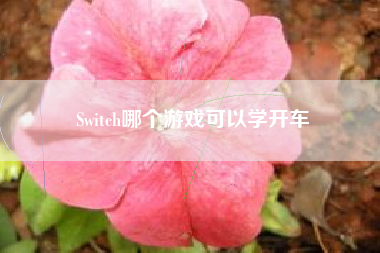 Switch哪个游戏可以学开车