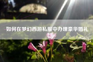 如何在梦幻西游私服中办理豪华婚礼