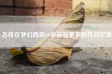 怎样在梦幻西游SF中获取更多的作战记录