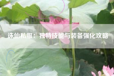 诛仙私服：独特技能与装备强化攻略