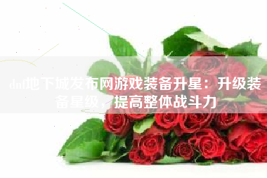 dnf地下城发布网游戏装备升星：升级装备星级，提高整体战斗力