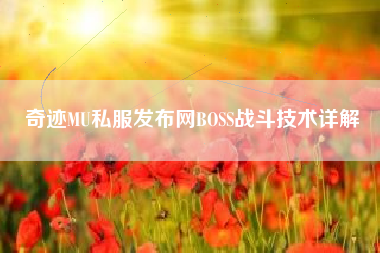 奇迹MU私服发布网BOSS战斗技术详解