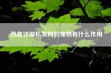 热血江湖私发网的宠物有什么作用