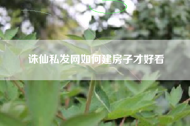 诛仙私发网如何建房子才好看