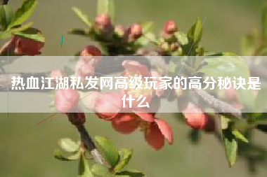 热血江湖私发网高级玩家的高分秘诀是什么