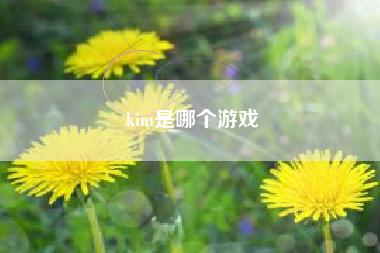 kim是哪个游戏