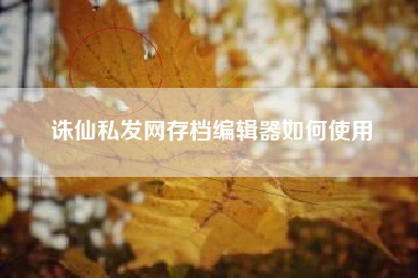 诛仙私发网存档编辑器如何使用