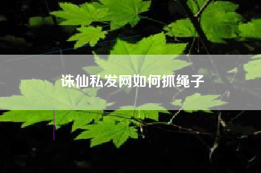 诛仙私发网如何抓绳子