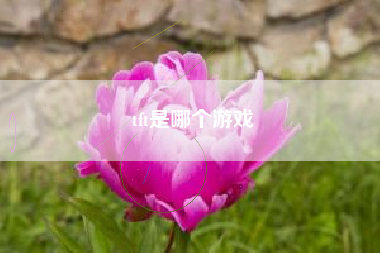 tft是哪个游戏