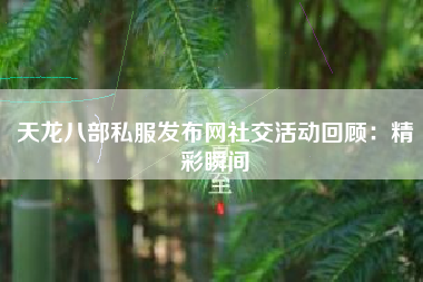 天龙八部私服发布网社交活动回顾：精彩瞬间