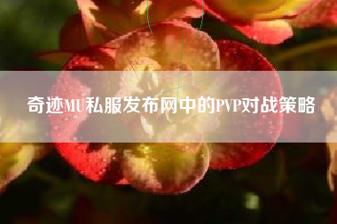 奇迹MU私服发布网中的PVP对战策略