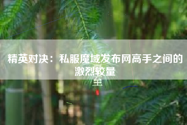 精英对决：私服魔域发布网高手之间的激烈较量