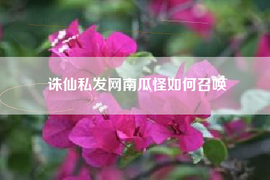 诛仙私发网南瓜怪如何召唤