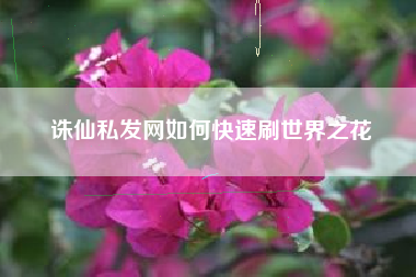 诛仙私发网如何快速刷世界之花