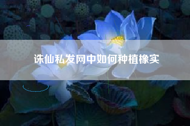 诛仙私发网中如何种植橡实