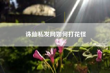 诛仙私发网如何打花怪