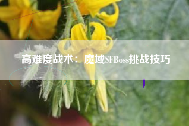 高难度战术：魔域SFBoss挑战技巧