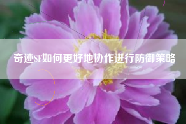 奇迹SF如何更好地协作进行防御策略