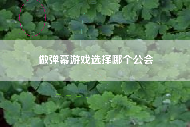 做弹幕游戏选择哪个公会