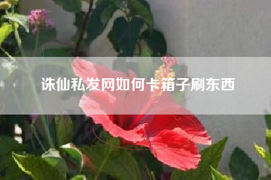 诛仙私发网如何卡箱子刷东西