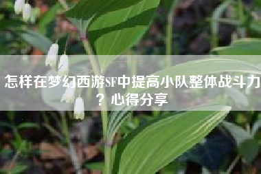 怎样在梦幻西游SF中提高小队整体战斗力？心得分享